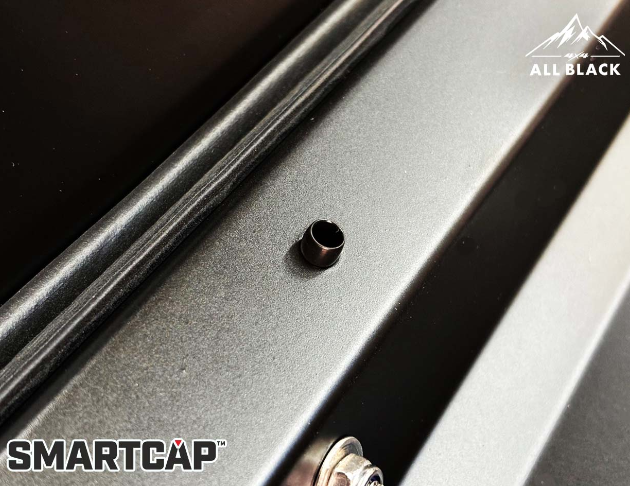 SMARTCAP 塞子 2