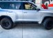 Offroad Animal 越野側踏 PRADO 2009+